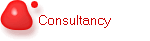 Consultancy
